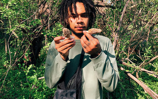 The Mycology Interviews: A Therapeutic Renaissance with William Padilla Brown