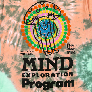 Mind Exploration Tee - Teal/Peach Tie Dye